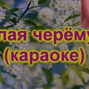 Расцвела Черемуха Караоке