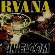 Nirvana In Bloom Drum Cover Juan Picardi Hd