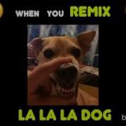 La La La Dog Remix By Stard Ova