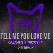 Tell Me You Love Me Ari Remix