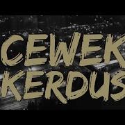 Cewek Kerdus