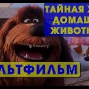 Тайная Жизнь Домашних Животных 2