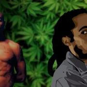 Damian Marley Ft Nas 2Pac Road To Zion