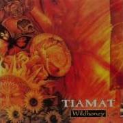 Tiamat Wildhoney