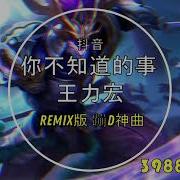 王力宏Remix