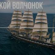 Майн Рид Морской Волченок