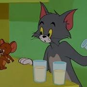 Tom Jerry 2021