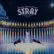 Stray Saturday Morning Pictures 1972 Full Album