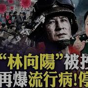 大宇拍案驚奇习近平