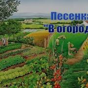 В Огороде Всё В Порядке Сами Мы Вскопали Грядки