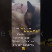 Сёма Кот