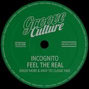 Incognito Feel The Real Remix