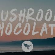 Mushroom Chocolate Lyrics