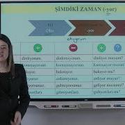 Şimdiki Zaman