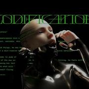 Codification