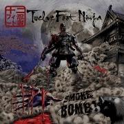 Twelve Foot Ninja Full Album