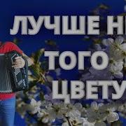 Лучше Нету Того Цвету Анацкий