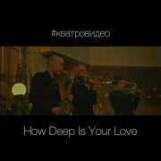 Кватро How Deep Is Your Love