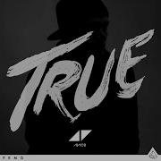 Avicii Wake Me Up Instrumental