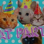 Cat Party