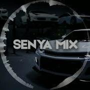 Senya Organ House Mix 10