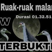 Ruak Ruak Malam