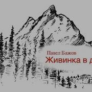 Живинка В Деле