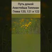 Путь Домой Анастейша Тиллман Глава 120 121 И 122 Аудиокнига