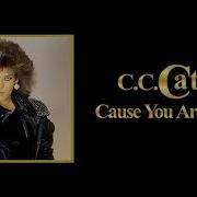 Cc Catch Cause You Are Young Instrumental