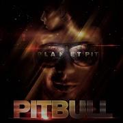 Pitbull Took My Love Ft Red Foo Vein David Rush