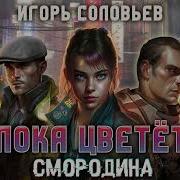 Игорь Соловьев Пока Цветет Смородина