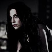 Evanescence What You Want