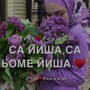 Чеченская Песня На День Рождения Сестры