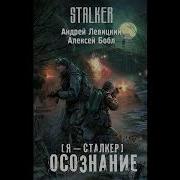 Сталкер Осознание Андрей Левицкий Алексей Бобл