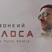 Звонкий Голоса Kolya Funk Radio Mix