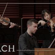 Bach Harpsichord Concerto In A Bwv 1055 1 Allegro