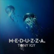 Meduzza Tony Igy