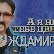 Джамилов А Я Несу Тебе Цветы