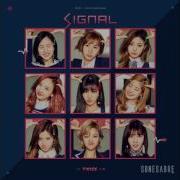 Signal Twice Instrumental