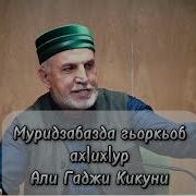 Али Хаджи Кикуни