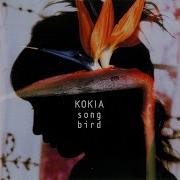 Kokia 白い雪