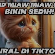 Miaw Miaw Miaw Miaw Sound Sad Viral Tiktok