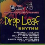 Drop Leaf Riddim Mix