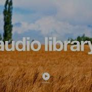 Audio Library Cry