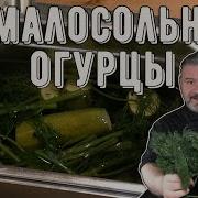 Огурцы Молодцы