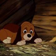 Fox And The Hound