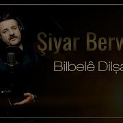 Siyar Berwari Bilbile Dilsad