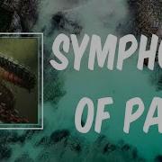 Symphony Of Pain Accept