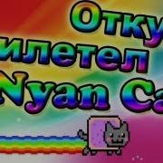 Откуда Прилетел Nyan Cat