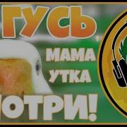 Я Гусь Мама Утка